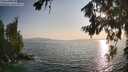 ./images/koeye/fitz-hugh/20260721/fitz-hugh20260721_192001M.jpg