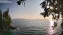 ./images/koeye/fitz-hugh/20260721/fitz-hugh20260721_192501M.jpg