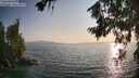 ./images/koeye/fitz-hugh/20260721/fitz-hugh20260721_193002M.jpg