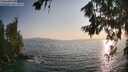 ./images/koeye/fitz-hugh/20260721/fitz-hugh20260721_193501M.jpg