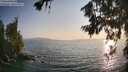 ./images/koeye/fitz-hugh/20260721/fitz-hugh20260721_194001M.jpg
