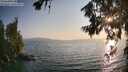 ./images/koeye/fitz-hugh/20260721/fitz-hugh20260721_194501M.jpg