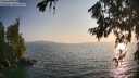 ./images/koeye/fitz-hugh/20260721/fitz-hugh20260721_195002M.jpg