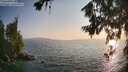 ./images/koeye/fitz-hugh/20260721/fitz-hugh20260721_195501M.jpg