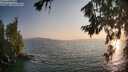 ./images/koeye/fitz-hugh/20260721/fitz-hugh20260721_201001M.jpg