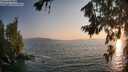 ./images/koeye/fitz-hugh/20260721/fitz-hugh20260721_202001M.jpg
