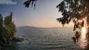 ./images/koeye/fitz-hugh/20260721/fitz-hugh20260721_203001M.jpg