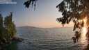./images/koeye/fitz-hugh/20260721/fitz-hugh20260721_203501M.jpg