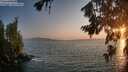 ./images/koeye/fitz-hugh/20260721/fitz-hugh20260721_204001M.jpg