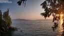 ./images/koeye/fitz-hugh/20260721/fitz-hugh20260721_204501M.jpg