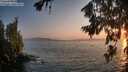 ./images/koeye/fitz-hugh/20260721/fitz-hugh20260721_205001M.jpg