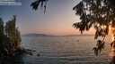 ./images/koeye/fitz-hugh/20260721/fitz-hugh20260721_205502M.jpg