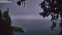 ./images/koeye/fitz-hugh/20260722/fitz-hugh20260722_050001M.jpg
