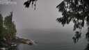 ./images/koeye/fitz-hugh/20260722/fitz-hugh20260722_085501M.jpg
