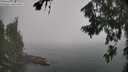 ./images/koeye/fitz-hugh/20260722/fitz-hugh20260722_103501M.jpg