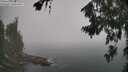 ./images/koeye/fitz-hugh/20260722/fitz-hugh20260722_104502M.jpg