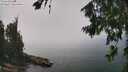 ./images/koeye/fitz-hugh/20260722/fitz-hugh20260722_133001M.jpg