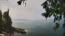./images/koeye/fitz-hugh/20260722/fitz-hugh20260722_134501M.jpg
