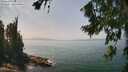 ./images/koeye/fitz-hugh/20260722/fitz-hugh20260722_140501M.jpg