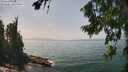 ./images/koeye/fitz-hugh/20260722/fitz-hugh20260722_141501M.jpg