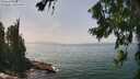 ./images/koeye/fitz-hugh/20260722/fitz-hugh20260722_142001M.jpg