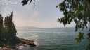 ./images/koeye/fitz-hugh/20260722/fitz-hugh20260722_142501M.jpg