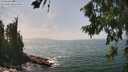 ./images/koeye/fitz-hugh/20260722/fitz-hugh20260722_143001M.jpg