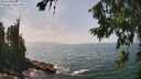 ./images/koeye/fitz-hugh/20260722/fitz-hugh20260722_143501M.jpg