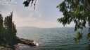 ./images/koeye/fitz-hugh/20260722/fitz-hugh20260722_144001M.jpg