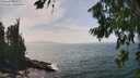 ./images/koeye/fitz-hugh/20260722/fitz-hugh20260722_150501M.jpg