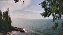 ./images/koeye/fitz-hugh/20260722/fitz-hugh20260722_151001M.jpg