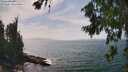 ./images/koeye/fitz-hugh/20260722/fitz-hugh20260722_151502M.jpg