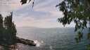 ./images/koeye/fitz-hugh/20260722/fitz-hugh20260722_152001M.jpg