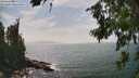 ./images/koeye/fitz-hugh/20260722/fitz-hugh20260722_153002M.jpg