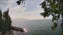 ./images/koeye/fitz-hugh/20260722/fitz-hugh20260722_153501M.jpg