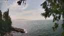 ./images/koeye/fitz-hugh/20260722/fitz-hugh20260722_154001M.jpg