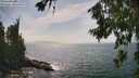 ./images/koeye/fitz-hugh/20260722/fitz-hugh20260722_155501M.jpg