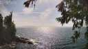 ./images/koeye/fitz-hugh/20260722/fitz-hugh20260722_164501M.jpg