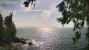 ./images/koeye/fitz-hugh/20260722/fitz-hugh20260722_165002M.jpg