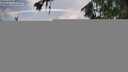 ./images/koeye/fitz-hugh/20260722/fitz-hugh20260722_165501M.jpg
