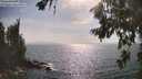 ./images/koeye/fitz-hugh/20260722/fitz-hugh20260722_171001M.jpg