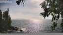./images/koeye/fitz-hugh/20260722/fitz-hugh20260722_171501M.jpg