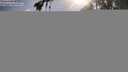 ./images/koeye/fitz-hugh/20260722/fitz-hugh20260722_174001M.jpg