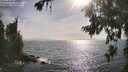 ./images/koeye/fitz-hugh/20260722/fitz-hugh20260722_174501M.jpg