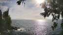 ./images/koeye/fitz-hugh/20260722/fitz-hugh20260722_175001M.jpg