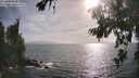 ./images/koeye/fitz-hugh/20260722/fitz-hugh20260722_181002M.jpg