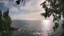 ./images/koeye/fitz-hugh/20260722/fitz-hugh20260722_183001M.jpg