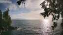 ./images/koeye/fitz-hugh/20260722/fitz-hugh20260722_183502M.jpg