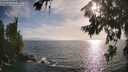./images/koeye/fitz-hugh/20260722/fitz-hugh20260722_184001M.jpg