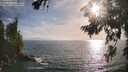 ./images/koeye/fitz-hugh/20260722/fitz-hugh20260722_184501M.jpg
